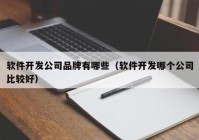 软件开发公司品牌有哪些（软件开发哪个公司比较好）