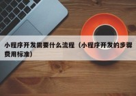 小程序开发需要什么流程（小程序开发的步骤费用标准）