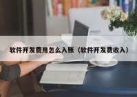 软件开发费用怎么入账（软件开发费收入）