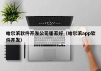 哈尔滨软件开发公司哪家好（哈尔滨app软件开发）