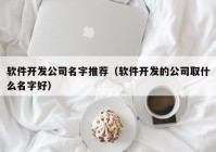 软件开发公司名字推荐（软件开发的公司取什么名字好）