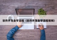 软件开发自学流程（软件开发自学流程视频）