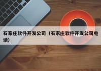 石家庄软件开发公司（石家庄软件开发公司电话）