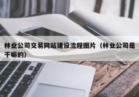 林业公司交易网站建设流程图片（林业公司是干嘛的）