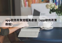 app软件开发流程吴彦祖（app软件开发教程）