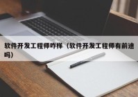 软件开发工程师咋样（软件开发工程师有前途吗）