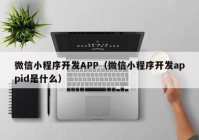 微信小程序开发APP（微信小程序开发appid是什么）