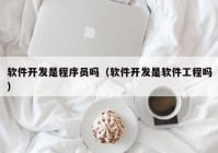 软件开发是程序员吗（软件开发是软件工程吗）