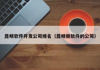 昆明软件开发公司排名（昆明做软件的公司）