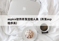 aspice软件开发流程人员（开发asp程序员）