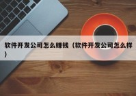 软件开发公司怎么赚钱（软件开发公司怎么样）