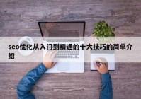 seo优化从入门到精通的十大技巧的简单介绍