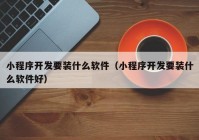 小程序开发要装什么软件（小程序开发要装什么软件好）