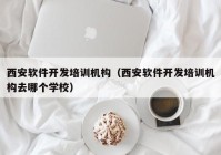 西安软件开发培训机构（西安软件开发培训机构去哪个学校）