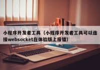 小程序开发者工具（小程序开发者工具可以连接websocket在体验版上报错）