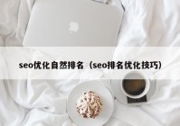 seo优化自然排名（seo排名优化技巧）