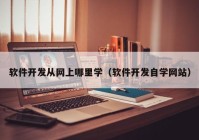 软件开发从网上哪里学（软件开发自学网站）