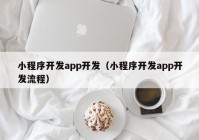 小程序开发app开发（小程序开发app开发流程）