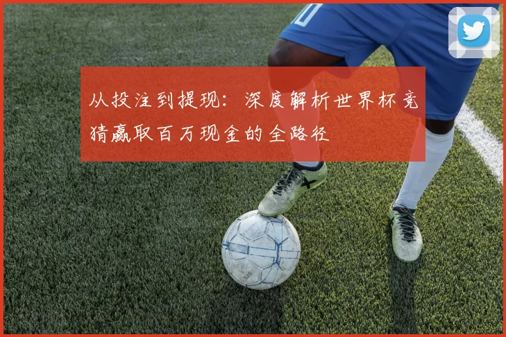 从投注到提现：深度解析世界杯竞猜赢取百万现金的全路径
