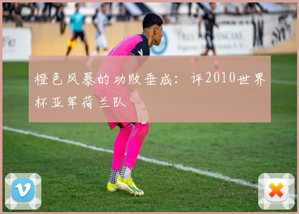 橙色风暴的功败垂成：评2010世界杯亚军荷兰队